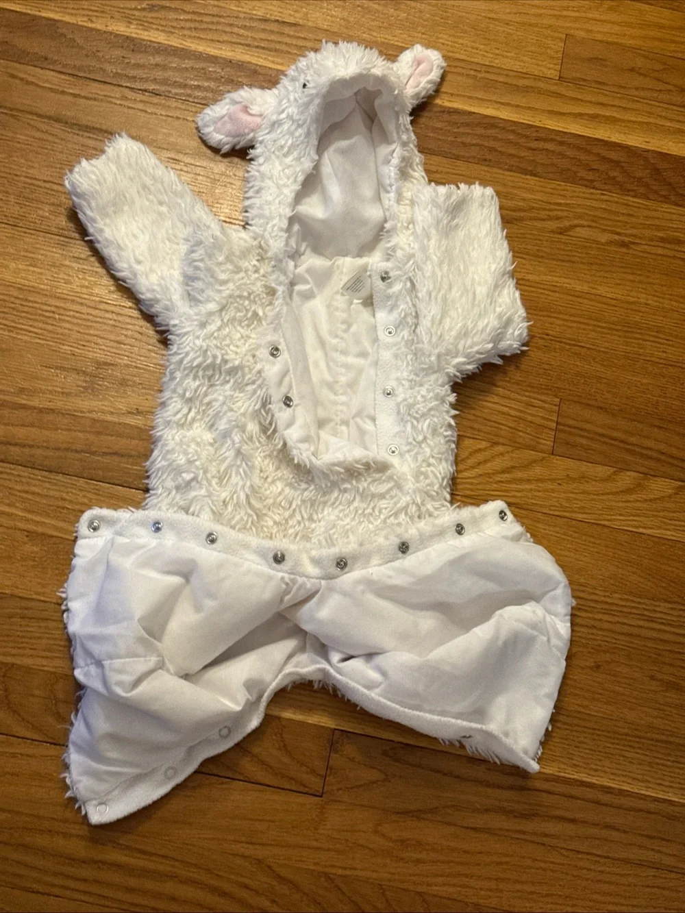 Pottery Barn Kids this adorable